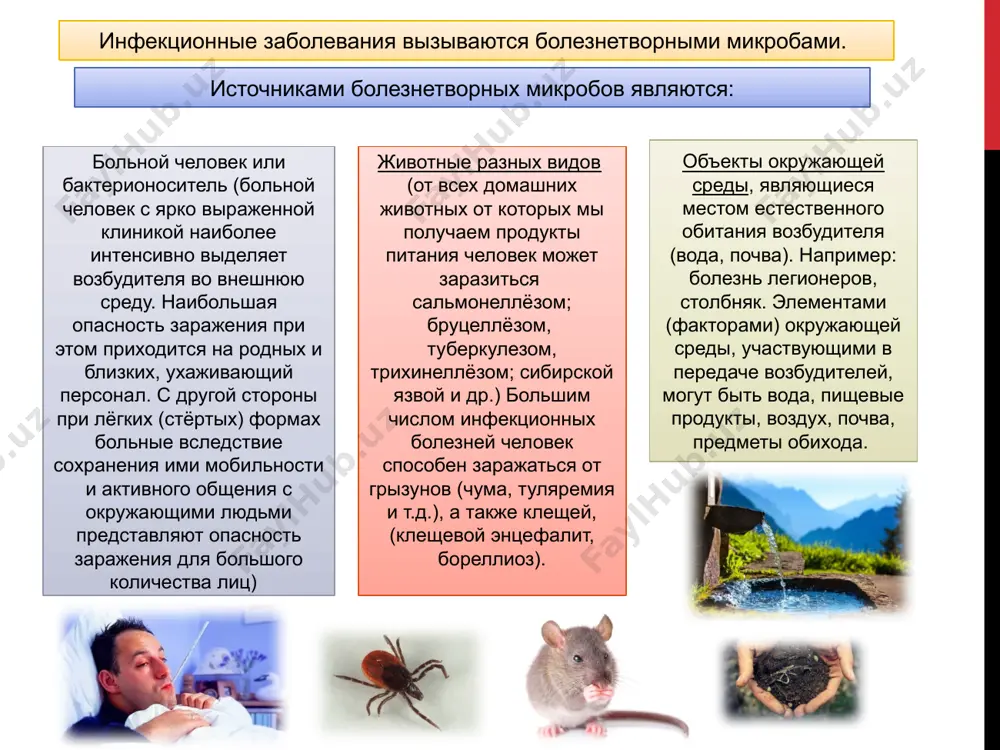 детей – через общие игрушки и т.д. в целях активной защиты населения от инфекционных болезней в российской федерации, как и во многих странах, существует «национальный календарь профилактических прививок», проводимых в плановом порядке (против дифтерии, коклюша, столбняка, полиомиелита, кори, краснухи, эпидемического паротита, туберкулёза, гепатита «в» среди отдельных возрастных групп детей, подростков и взрослых), а также по эпидемиологическим показаниям (против гриппа, гепатита «а», клещевого энцефалита, бешенства, туляремии, бруцеллёза, сибирской язвы и других инфекций). инфекционные болезни возникают и развиваются в социально-организованном человеческом обществе, поэтому демографические характеристики населения, благоустройство населённых мест, структура народно-хозяйственной деятельности, производственные условия, состояние здравоохранения, уровень санитарной культуры и личная гигиена населения влияют на уровень заболеваемости. заболевания, передающиеся воздушно-капельным путем грипп острое вирусное инфекционное заболевание с воздушно-капельным механизмом передачи возбудителя, которое характеризуется острым началом, лихорадкой, общей интоксикацией и поражением дыхательных путей. возбудитель гриппа - это вирус. различают три типа вируса гриппа - а, в и с. основными симптомами болезни являются: высокая …