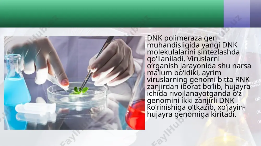 gen muhandisligida qo‘llaniladigan fermentlar. 10 - sinf - Page 5