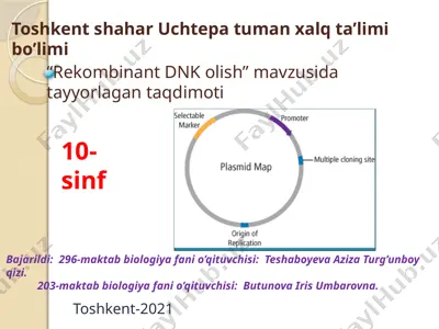 rekombinant dnk olish taqdimoti — PPTX