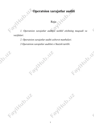 operatsion xarajatlar auditi — DOC