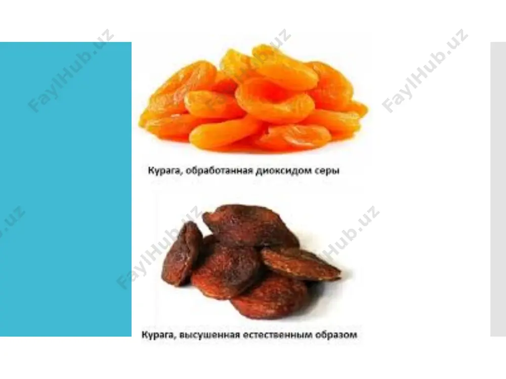 natijasida olingan olxo‘ri qoqi bir xil qora ranga, yaltiroq sirtga, a’lo ta’mga va yaqqol ifodalanuvchi hidga egadir. olxo‘rini tunelli quritgichlarda quritish quyidagi usulda tashkil etiladi: olxo‘rilar sifati bo‘yicha navlanib, yuviladi (dushli chayishli yuvish mashinasi), inspeksiyalanadi, o‘lchami bo‘yicha kalibrlanadi, blanshirlanadi, issiqlik rejimlari bo‘yicha quritiladi. tunelli quritishda olxo‘rini oldindan blanshirlash quritishni sezilarli jadallashtirmaydi, shuning uchun ushbu uskunada quritishda blanshirlash jarayoni amalga oshirilmaydi. olxo‘rini tunelli quritgichlarda quritish rejimlari xom-ashyo quritish agentining harorati, 0s quritilayotgan mahsulot miqdori, kg quritish davomiyligi, soat mahsulotni yuklash oralig’i, soat boshlan-g’ich yakuniy g’alvirda arava-chada vengerka moldavskaya 78 45-55 23 575 24 2 anna shpet 78 55 27 675 24 2 cherkusha 78-82 45 27 675 26-29 2,5 g‘alvirlarga joylashtirilgan mahsulot aravachalarga yuklanadi va aravachalar tunellar bo‘ylab harakatlanadi. mevalarni quritishdan oldin tunelli quritgichni ishchi rejimini rostlash lozimdir. bu quritish kameralarini 45-60 daqiqa davomida 78 0s haroratgacha qizdiriladi, so‘ngra tunnelga birinchi ikkita aravacha kiritiladi. shundan so‘ng har 1,5 soatdan so‘ng ikkitadan …