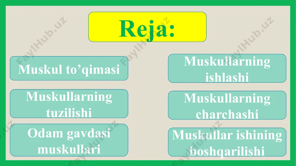 anasida 600 dan ortiq muskullar bor. tana muskullari katta va kichik ko'krak muskullari qo‘lni yelkadan harakatlantirish, qovurg‘alar orasidagi muskullar nafas olishda ishtirok etadi. qorin muskullari bir necha qavat joylashib, qorin devorini hosil qiladi. bu muskullar umurtqa pog‘onasining bukilishida ishtirok etadi. qorinning orqa tomonida joylashgan muskullar gavdani rostlashda qatnashadi. orqa yuzaki mushaklar old mushaklar orqa chuqur mushaklari qorin mushaklari odam gavdasi muskullari odam tanasida 600 dan ortiq muskullar bor. qo’l muskullari qo’lning o’z muskullari yelka kamari muskullari odam gavdasi muskullari odam tanasida 600 dan ortiq muskullar bor. qo‘l muskullari yelka kamari va qo‘lning o‘z muskullaridan iborat. yelka suyagining oldingi tomonida qo'lni tirsakdan bukuvchi ikki boshli muskul, orqa tomonida qo‘lni tirsakdan yozuvchi uch boshli muskul bor. qo’l muskullari qo’l muskullari qo’l muskullari ikki boshli muskul odam gavdasi muskullari odam tanasida 600 dan ortiq muskullar bor. oyoq muskullari boldir muskullari chanoq muskullari son muskullari panja muskullari odam gavdasi muskullari odam tanasida 600 dan …