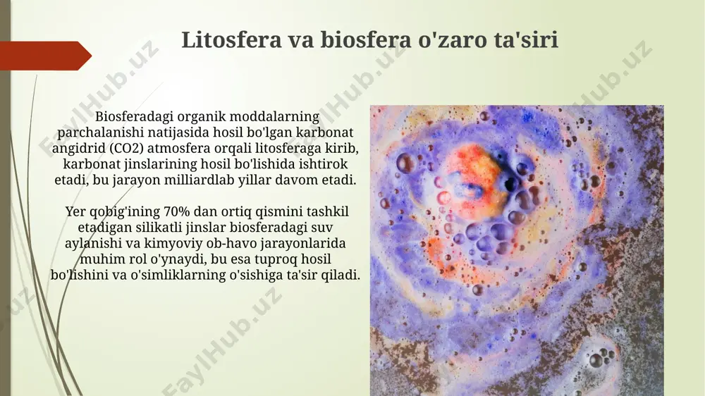 litosfera tuzilishi va funksiyaslari - Page 3