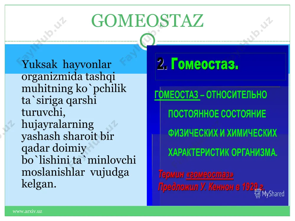 gipertonik sharoitda hayvon organizmining gomeostazini o`rganish - Page 5