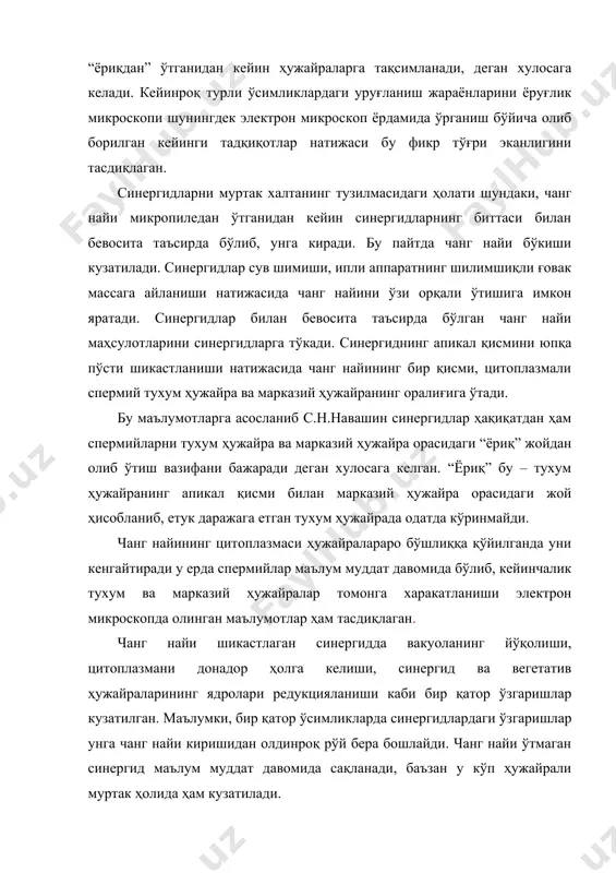 нча тўқимаси ва муртак халтага кўп сондаги чанг найининг киришини муҳим омил эканлигини эътироф этиб, уруғланиш жараёнини бир меъёрда рўй беришини ва муртак ҳамда уруғнинг ривожланиш жараёнига катта ижобий таъсир кўрсатади деб ҳисоблайди. уруғланишда иштирок этадиган спермийларнинг хусусий цитоплазмасини мавжудлиги, муртак халтага тушганда уруғланишда иштирок этиши ёки иштирок этмаслиги ҳақида ҳозирги кунга қадар мунозарали мулоҳазалар мавжуд. спермий муртак халтага кираётганда цитоплазмасини йўқотади, уруғланишда цитоплазмасиз ядрони ўзи иштирок этади, деган фикр тадқиқотчиларнинг орасида кенг тарқалган. айрим олимлар ёпиқ уруғлилардаги уруғланишда фақат “соф” ядрони ўзи эмас, ҳужайра яхлит ҳолда иштирок этади, деган хулосага келган. спермий ҳужайраларини урғочи ҳужайрага кириши myosurus, juglans, plumbagella, asclepias, lilium, arachis, vallisneria, impatens туркумларига мансуб ўсимликларнинг турларида ва архидеядошларнинг қотирилмаган тирик тўқималарида кузатилган. бу ўсимликлардаги уруғланиш жараёнида фақат тухум ҳужайра ва марказий ҳужайра ядролари билан спермийнинг ядроси қўшилади. спермийларнинг цитоплазмалари тегишли ҳужайраларнинг цитоплазмалари билан қўшилиши рўй беради. бу жараённи амалга ошиши vallisneria ўсимлигида аниқ баён этилган. ғўза, арпа …