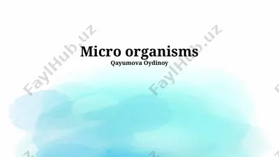 micro organisms — PPTX