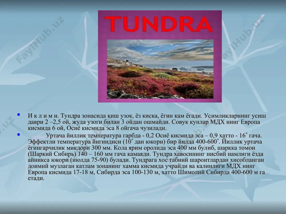 tundra - Page 4