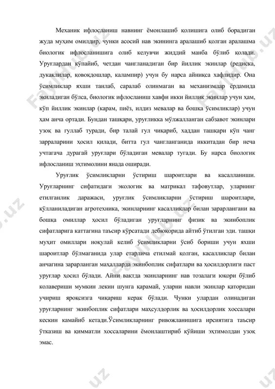 ри кескин камайиб кетади.ўсимликларнинг ривожланишига ирсиятига таъсир ўтказиш ва қимматли хоссаларини ёмонлаштириб қўйиши эҳтимолдан узоқ эмас. карам, редиска, пиёз ва помидорнинг яхши етилмаган уруғлари етилганларига қараганда кўпроқ нам ютиб секинроқ униб чиқиши аниқланган. уруғларнинг ёши улардан униб чиқадиган ўсимликларнинг кейинчалик ривожланишига ҳам таъсир қилади. етилмаган уруғларнинг униб чиқиши бир текис бормайди бундай уруғлардан олинган кўчатлар ривожланишдан узоқ вақт орқада қолади. етилмаган уруғлардан чиққан ўсимликларнинг ривожлани​шидан орқада қолиши эртанги ҳосил миқдорининг камайиб етишига, помидорда яхши етилмай қолишига, редиска билан пиёзда эса, куп​гина ўсимликларнинг яхши ривожланмай қолишига олиб келади. анча етилган уруғлар экилганида хозир айтиб ўтилган экинларнинг ҳосилдорлиги ортади, ҳосилнинг товарлик хоссалари эса яхшиланади. сабзавот экинлари вирусли бактериали ва замбуруғли касаллик​лар билан зарарланади, бу касалликларнинг кўпчилиги уруғлардан ўтади ва навни репродукциялаш вақтида тарқалиши мумкин. сабзавот ва полиз экинларининг касалликлари икки гуруҳга бўлинади: 1) уруғлар орқали ўтадиган ва уруғларни юқумсизлантиришнинг ишончли усуллари ҳали ишлаб чиқилмаган касалликлар. бундай ка​салликлар белгиланган меъёрдан ортиқ тарқалиб кетган …
