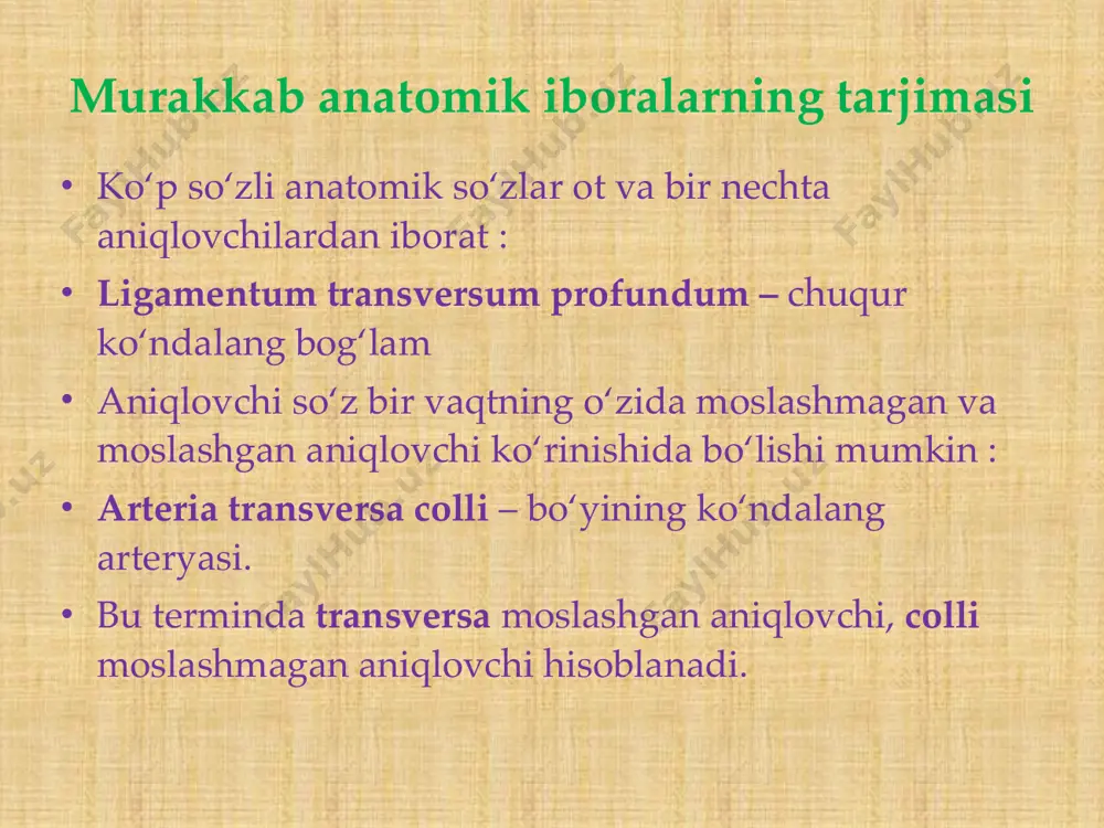ter (oris,m) -qisuvchi muskul • m. constrictor (oris,m) -qisuvchi muskul musculus,i,m –muskul, mushak musculi • 1. m. temporalis -chakka muskuli. • 2. m. orbicularis oculi -ko‘zning aylana m • 3. m. zygomaticus major - yanoq katta m. • 4. m. masseter - chaynov m. • 5. m. depressor anguli oris -og‘iz burchagining tushyruvchi m. • 6. m. sternocleidomastoideus -to‘sh-o‘mrov- so‘rg‘chsimon m. • 7. m. trapezius -trapetsiyasimon m. • 8. m. deltoideus -deltasimon m. • 9. m. pectoralis major -ko‘krakning katta m. musculi musculi • 10. m. serratus anterior -oldingi tishli m. • 11. m. biceps brachii -yelkaning ikki boshli m. • 12. m. brachioradials -yelka-bilak m. • 13. m. flexor carpi -kaftni bukuvchi m. • 14. m. extensor brevis -kalta yozuvch m. • 15. m. gastrocnemius -boldir muskuli. • 16. m. soleus -kambalasimon muskul. • 17. m. tibialis anterior -katta boldir suyagining oldingi m. • 18. m. vastus medialis -ichki …