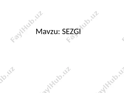 sezgi — PPT