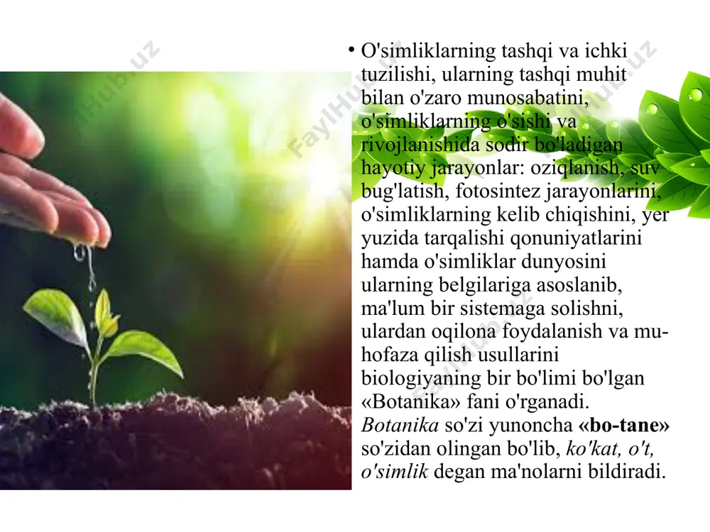 botanika - o'simliklar haqidagi fan - Page 5