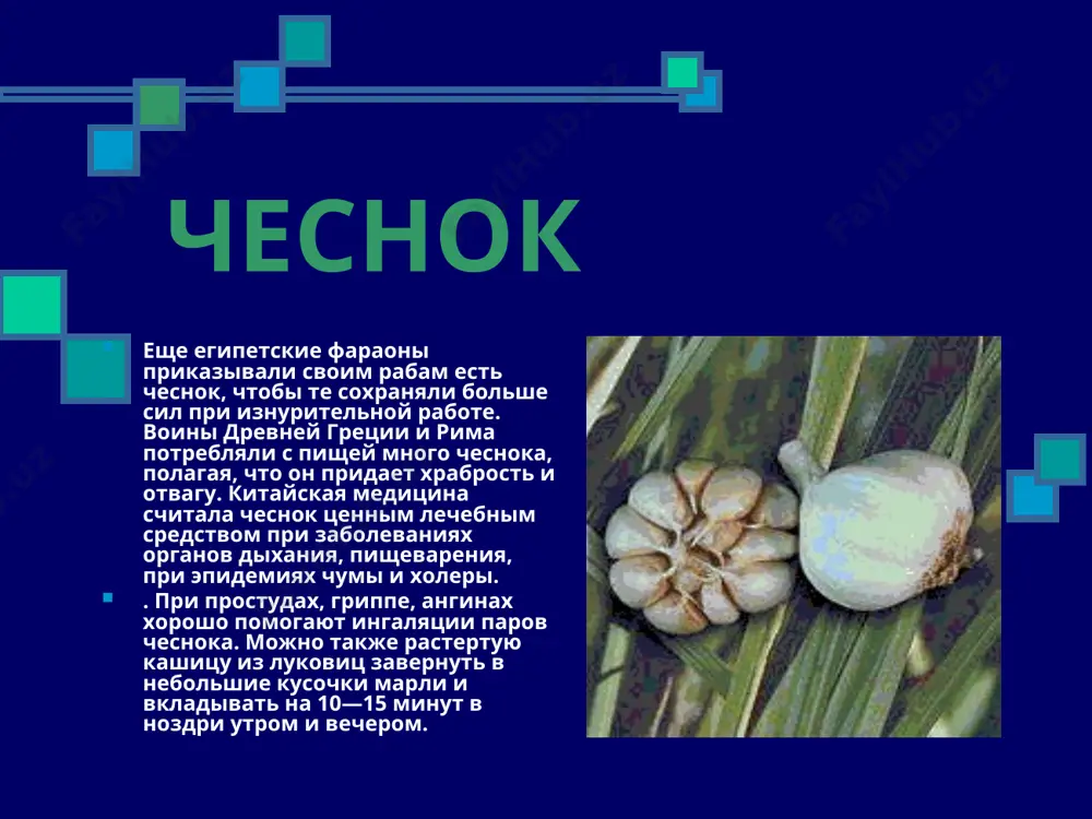 ятного вкуса или запаха. тимьян ползучий - чабрец в народе его именуют чабрецом, чепчиком, бо­городской травой, жадобником, мухопалом, фимиамником или лимонным душком. от небольшого пучка этого растения исходит такой сильный аромат, что кажется, будто бы воедино собрано все степное разнотравье. с древних времен им ароматизировали воздух во время пиров, бросая его в тлеющие угли костра. растение богато фитонцидами, эфирными маслами, дубильными веществами, жирами, минеральными солями. трава тимьяна входит в состав препарата от кашля — пертусина, чабрец в народной медицине замечательные свойства чабреца воспеты во многих легендах и сказаниях. в своей книге «легенды о цветах» (м., 1984) с. красиков приводит стихотворение, в котором говорится, что когда у монгольского хана, захватившего русскую землю, тяжело заболел сын, никто не мог вылечить мальчугана, пока не сжалилась над ним одна из полонянок. ...и тогда из тесного кольца вышла белорусская крестьянка. сорвала три ветви чебреца и сказала хану с горькой грустью: — так и быть, я …
