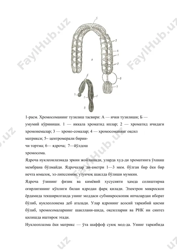 ов ў. а. „фармакогнозия“, тошкент, 2007 й. 6. мусаев б. с. „ўғит қўллаш тизими“, тошкент, 1998. 7. атабоева ҳ. н. ва бошқалар. тошкент, 1995. ўсимликшунослик. 8. мурдахаев ю. м. лекарсвенные культуры в узбекистане, ташкент, 2001. 9. мурдахаев ю. м. ўзбекистонда ватан топган доривор ўсимликлар. тошкент, 1990. 10. турова а. д. сапожникова э. н. лекарственные растения ссср и их применение. москва, 1982. 11. мусаев б. с. агрокимё. тошкент, 2001. 12. эрматов а. суғориладиган деҳқончилик. тошкент, 1983. 13. холматов х. х., ҳабибов. ўзбекистон доривор ўсимликлари. тошкент, 1971. 14. атлас ареалов и ресурсов лекарственных растений ссср. москва, 1976.