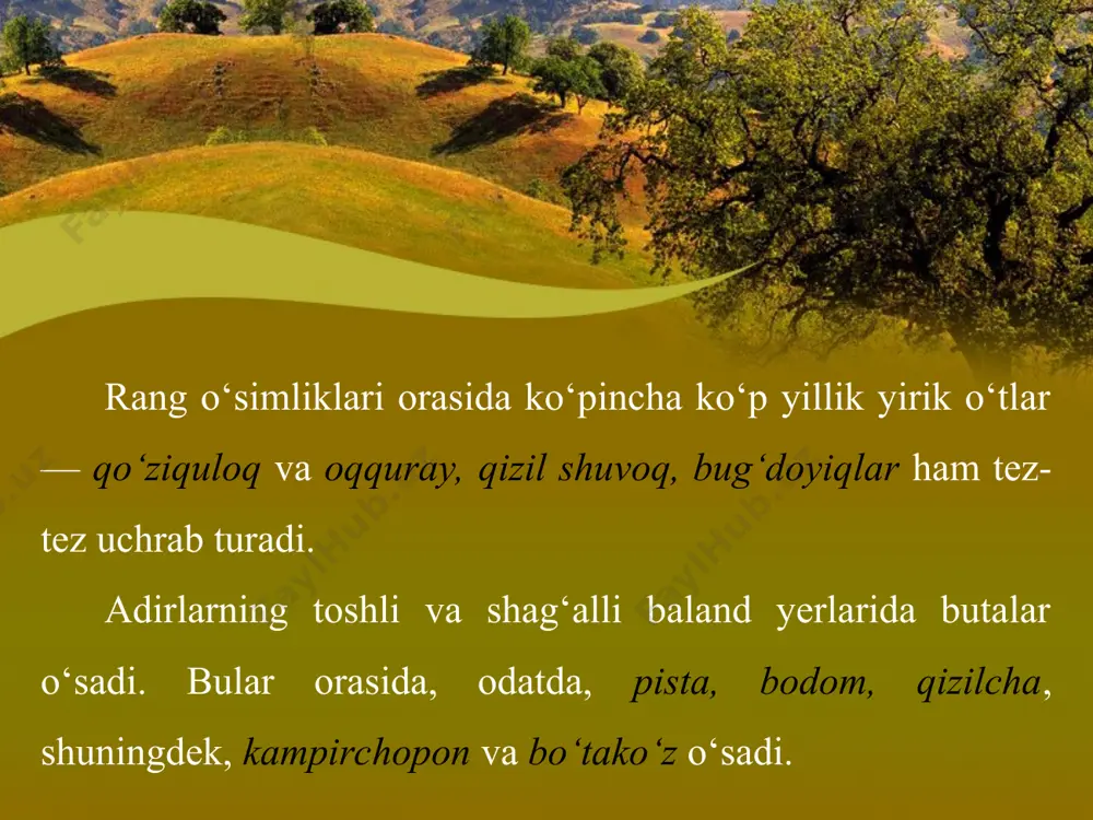o‘rta osiyo adir, tog‘ va yaylov o‘simliklari 7-sinf - Page 3