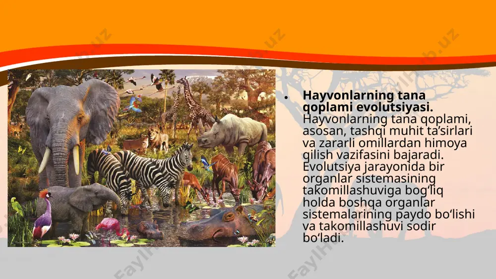 ‘pchilik qushlarda dumg‘aza bezlari bo‘lib, qushlar bu bezdan ajraladigan yog‘simon modda bilan patlarini yog‘laydi. qushlarning tanasini qoplab turuvchi pat va parlar epidermis hosilasi bo‘lib, ularning kelib chiqishi sudralib yuruvchilarning tangachalariga o‘xshash, tarkibi shox moddadan tuzilgan hayvonlarning harakat organlari evolutsiyasi. ko‘pchilik hayvonlarda tana shaklini saqlash, himoya qilish va harakatni ta’minlovchi turli xildagi tayanch sistemalar mavjud. gidrostatik skelet umurtqasiz hayvonlar, masalan, to‘garak va halqali chuvalchanglarda uchraydi. uning tanasida alohida to‘qima suyuqligi bo‘lib, muskullarga bosim ko‘rsatadi. mazkur bosim ta’sirida muskullar qisqaradi va chuvalchang harakatlanadi tashqi skeletning harakatda ishtirok etadigan ayrim qismlari, tana bo‘limlarining bo‘g‘imlarida xitin qoplami yumshoq bo‘ladi. bo‘g‘imlarning harakati xitin qoplamiga birikkan muskullarning qisqarishi orqali ta’minlanadi. xitin qoplami bo‘g‘imoyoqlilarning tanasidan suv yo‘qotilishining oldini oladi. shunday qilib, bo‘g‘imoyoqlilarning tashqi skeleti (xitin qoplami) tayanch va ichki organlarni himoya qilish, organizmni ortiqcha suv yo‘qotishdan asrash vazifalarini bajaradi. tirik organizmlarning muhim xususiyatlaridan biri harakatlanish sanaladi. harakatlanish tufayli hayvonlar dushmandan himoyalanadi, oziq izlab topadi, naslini himoya qiladi. …