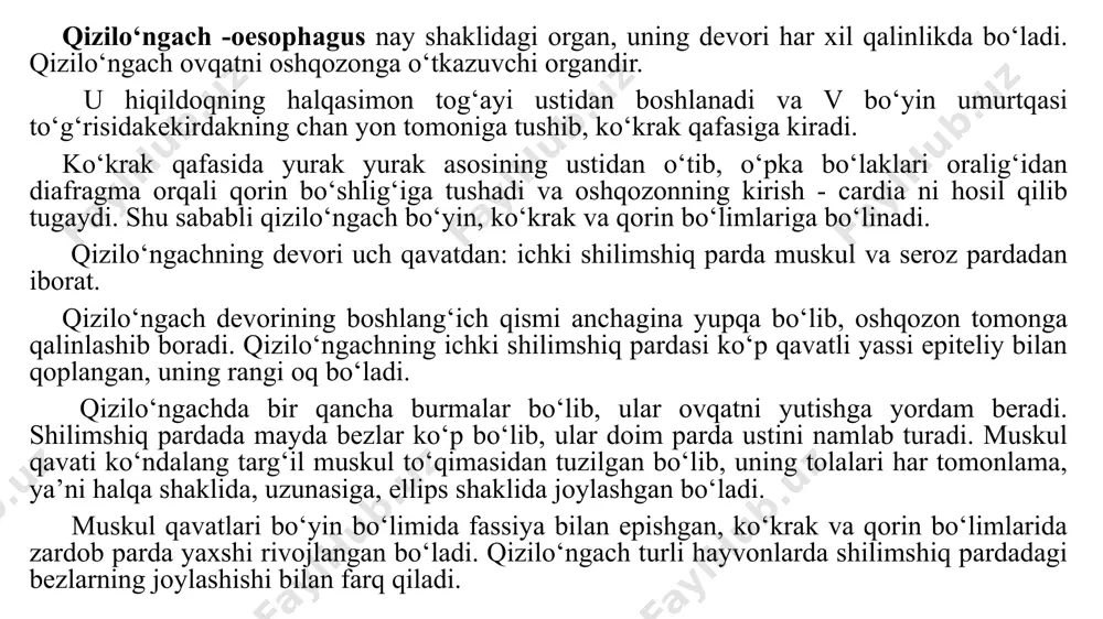 ‘r qoringa o‘tadigan qizilo‘ngach novining ahamiyati juda katta, chunki bu nov orqali suyuq ovqat katta qoringa tushmasdan, to‘g‘ri to‘rqoringa o‘tib ketadi. tuyalarning oshqozoni uch kamerali bo‘lib, qisman, katta qorinda va to‘rqorin devorida bezlar bo‘ladi. tuyalarda qatqorin yo‘q. katta qornida bir necha xonacha bor, ular katta qorinning ustki qismida va to‘rqorinning chiqish qismida joylashadi. it va mushuklar oshqozoni oddiy, bir kamerali bo‘lib, ovqat hazm qilish tizimi monogastrik deb nomlanadi. oshqozonning vazifasi quyidagilardan iborat: oziqa mahsulotlarini vaqtincha saqlab turish: yovvoiy go‘shtxo‘r hayvonlar har 3-4 kunda oziqlanishi mumkin, so‘ngra dam oladi va qabul qilingan oziqa sekin hazmlanadi. oziqani maydalash va oshqozon shirasi bilan aralashtiradi. oqsillarni parchalanish jarayoni boshlanadi. oshqozon s-simon shaklda bo‘lib, qorinning oldingi chap tomonida joylashadi. oshqozon devori qalin va oziqa bilan biroz cho‘zilgan bo‘ladi. oshqozon bo‘sh holatda qovurg‘a ostida, oziqa bilan to‘lgan holatda esa qorin bo‘shlig‘ining uchdan bir qismini egallaydi. oshqozon - ventriculus s. gaster tuzilishiga qarab, bir va ko‘p kamerali …