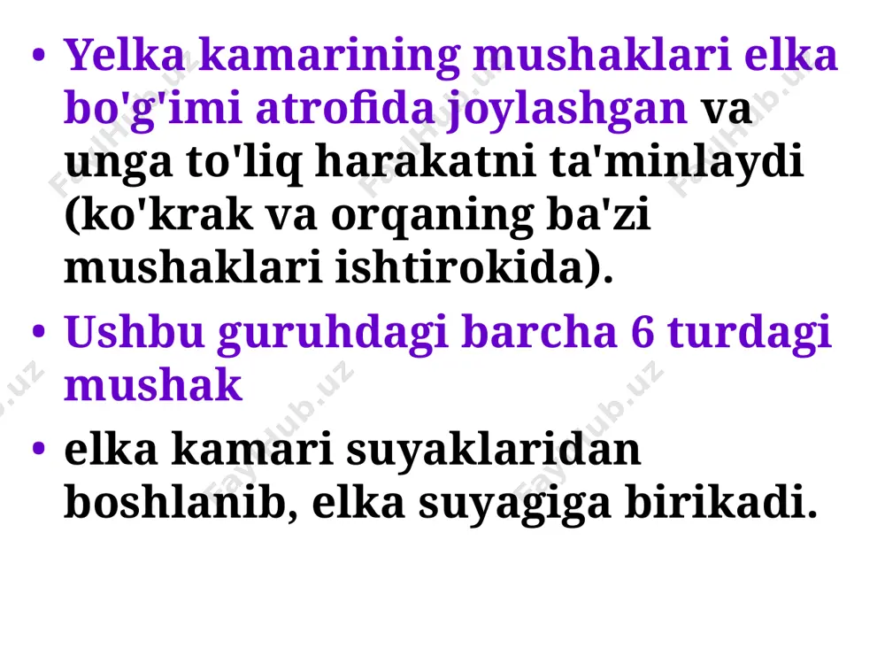 mushaklar - Page 4