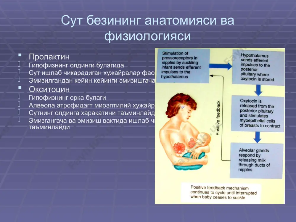 кукрак сути билан боқиш - Page 5