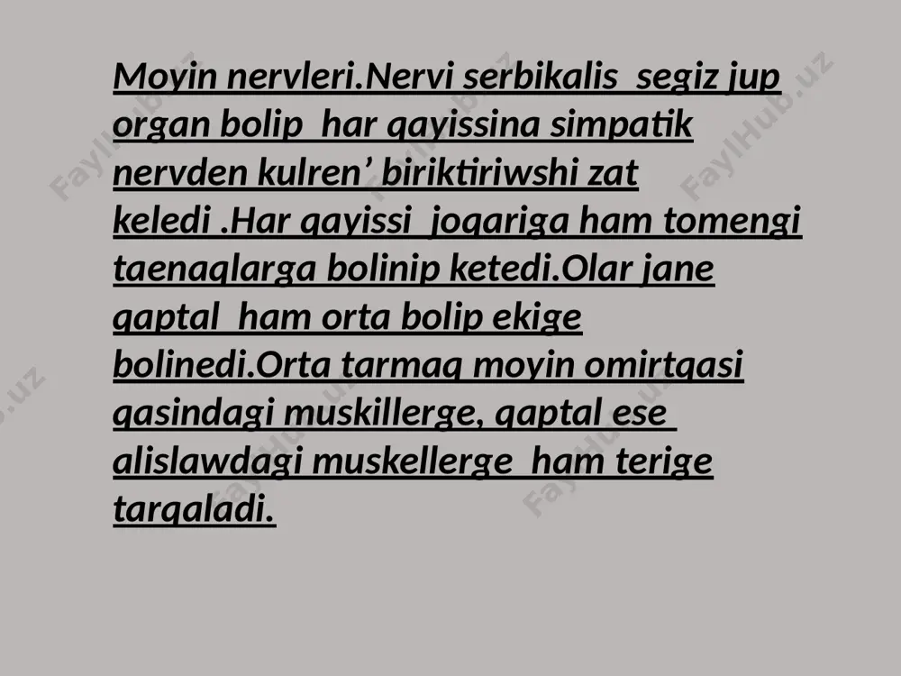 arqa miy ham bas miy nervlerinin topografiyasin salistiriw - Page 3