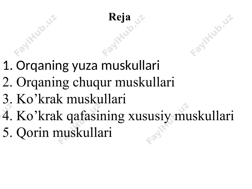 chk to’g’ri orqaning chuqur muskullari lateral tutam umurtqa pog’anasini tiklovchi muskul 1, dumg’azaning orqa sathidan 2, bel umrtqalarining ko’ndalang o’siqlaridan, 3, yonbosh suyagining tashqi qirrasidan, 4, kurak bel fassiyasidan boshlanib. yuqoriga ensa suyagigacha kirb boradi yonbosh qovurg’a asosan qovurg’alarga yopishadi qirrali muskul qirrali o’siqlar ustida joylashgan b/b umurtqalarning qirrali o’siqlariga birikadi uzun muskul umurtqalarning ko’ndalang o’siqlariga yopishadi * tanani ko’taruvchi muskul-musculus erecter spine musculus ilia costalis musculus langissimus uzun muskul tanani tiklovchi m musculus spinalis qirrali muskul medial trakt 1 qancha mayda muskullardan tuzilgan ko’ndalang qirrali umurtqalarning ko’ndalang o’siqlaridan boshlanib, yuqoriga yonaladi, umurtqalarning qirrali o’siqlariga yopishadi orqa fassiyasi teri ostida yuza joylashgan, orqaning yuza va trapetsiyasimon va orqaning serbar muskullari ustidan o’raydi qirralar aro ikkita yonma yon joylashgan umurtqalarning qirrali o’siqlari orasida joylashgan bo’yin va boshning tasma muskuli pastki 5 ta bo’yin yuqori 6 ta kokrak umurtqalarining qirrali osiqlaridan boshlanib ensa va chakka suyagi sorg’ichsimon o’sig’iga yopishadi boshning orqa katta …