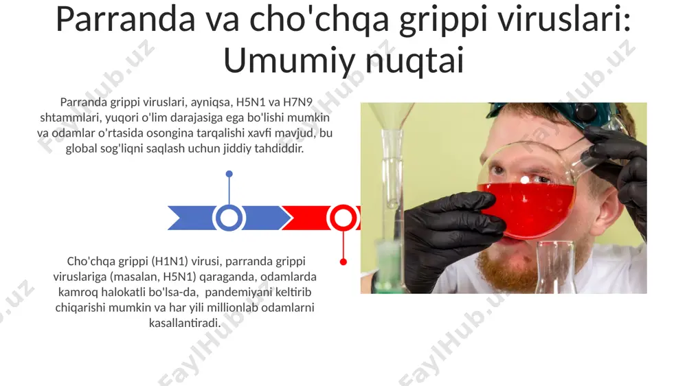 amunadagi virus miqdorini kamaytirishi mumkin. parranda va cho'chqa grippi viruslari diagnostikasi uchun namunalar yig'ish e'tiboringiz uchun rahmat @taqdimot_robot image4.jpg image5.jpg image6.jpg image7.jpg image8.jpg image9.jpg image10.jpg image11.jpg image12.jpg image1.jpeg image2.jpeg