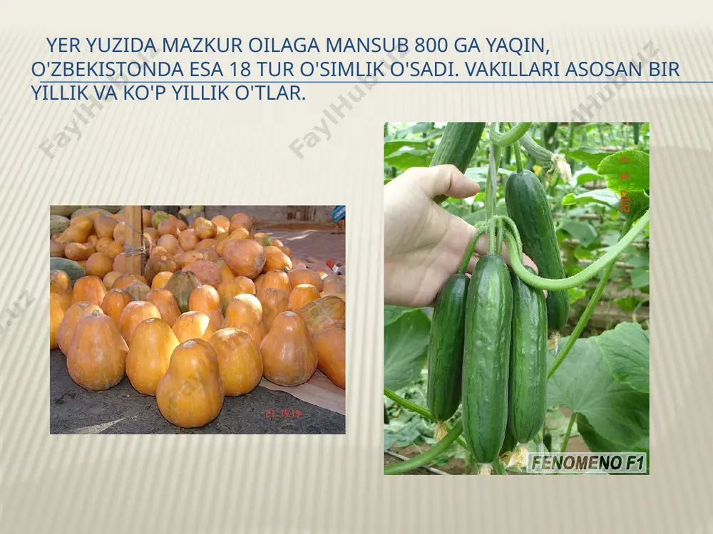 qovoqdoshlar oilasi 2 - Page 5