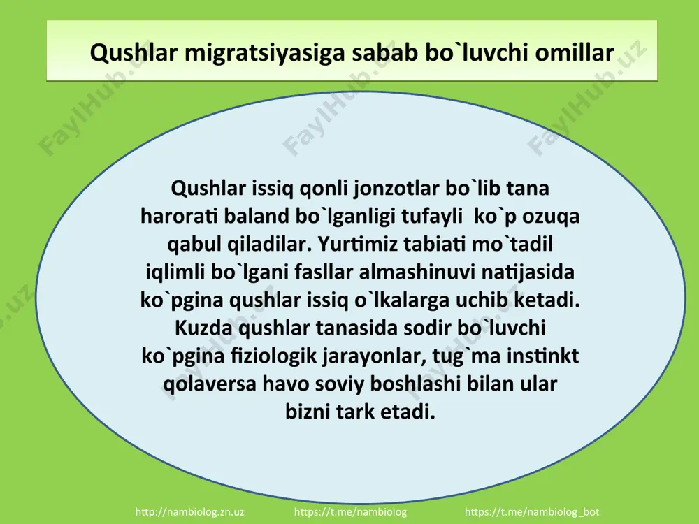darko`l atrofida yaratilgan mikroiqlim kengayishi natijasida http://nambiolog.zn.uz https://t.me/nambiolog https://t.me/nambiolog_bot qoraqalpog`iston respublikasi mo`ynoq tumanidajoylashgan sudoche ko`lida flamingo qushlar galasini uchratish mumkin. http://nambiolog.zn.uz https://t.me/nambiolog https://t.me/nambiolog_bot ushbu qushlar o`rtasida qanday farq va bog`liqlik bor??? http://nambiolog.zn.uz https://t.me/nambiolog https://t.me/nambiolog_bot . qarg`a . siz bu qushlarni taniysizmi?? ular nima bilan oziqlanadi?? http://nambiolog.zn.uz https://t.me/nambiolog https://t.me/nambiolog_bot siz yosh tadqiqotchi sifatida qushlarni mavsumiy moslanishi va migratsiyasini o`rganishda nimalarga e`tibor berasiz? siz yosh tadqiqotchi sifatida qushlarni halqalashdan asoiy maqsad nima ekanligini qanday tushuntirasiz? siz yosh tadqiqotchi sifatida qushlarmigratsiyasi asosiy sabablari haqida qanday ma`lumotlarga ega bo`ldingiz? siz yosh tadqiqotchi sifatida qushlarning tabiatda va inson hayotidagi o`rnini tushuntiring? http://nambiolog.zn.uz https://t.me/nambiolog https://t.me/nambiolog_bot e`tiboringiz uchun rahmat http://nambiolog.zn.uz https://t.me/nambiolog https://t.me/nambiolog_bot