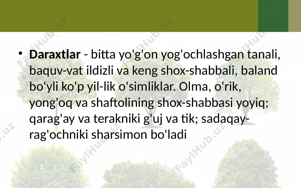 o‘simliklarning hayotiy shakllari - Page 3