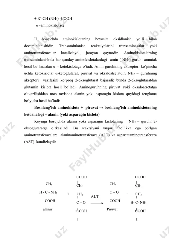 , o’zidan ketib qolishi kuzatiladi. ammiak zararsizlanishining bir necha yo’llari mavjuddir: · organik kislotalarning ammoniyli tuzlarini hosil qilish; · aminokislotalar amidlarini hosil bo’lishi; · qaytarishli aminlanish (transreaminlanish); · siydikchil (mochevina) ni hosil bo’lishi; · ammoniy tuzlarini hosil qilishi; 1). organik kislotalarning ammoniyli tuzlarini hosil qilish – ammoniy sitrat, ammoniy oksalat, ammoniy fumarat. 2). aminokislotalar amidlarini hosil bo’lishi. ular asosan ammiakni transport shakllari hisoblanadi. bunda asparagin va glutamin kislotalarga asparaginsintaza, glutaminsintaza fermentlari va atf ishtirokida birinchi uglerod atomiga ammiak qo’shiladi: l - aspartat + atf + nh3→ l - asparagin +amf + h3po4 l - glutamat + atf + nh3→ l - glutamin +amf + h3po4 bu reaktsiyalar ayniqsa nerv, muskul, to’qimalarda, jigar va buyrakda faoldir. 3). qaytarishli aminlanish. ammiakni bir qismi to’qimalarda yangi aminokislotalarni sintezida ishtirok etadi, buning uchun ma’lum miqdorda 2-oksoglutarat ham zarur bo’ladi. bu reaktsiyalar qaytarilgan retransaminlanish deyiladi. 4). siydikchil (mochevina) ni hosil bo’lishi. ammiakning asosiy qismi, taxminan …