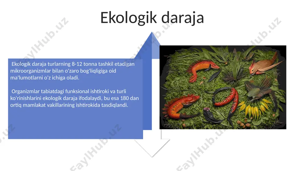 biologik xilma-xillik va uning shakllanishi - Page 4