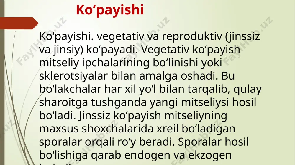 zamburug’larning umumiy xususiyatlari - Page 5