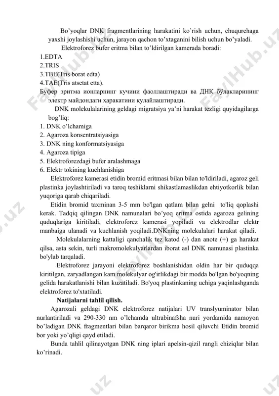 iladi. agaroza gelidan foydalanish tarmoqlari. elektroforez gellari dnk molekulalarining o’lchamini o’lchashda, pzr(polimer zanjir reaksiya) maxsulotlarini tahlil qilishda,molekulyar genetikada barmoq izini olishda, oldindan belgilangan dnk ni ajratishda foydalaniladi. ko’pchilik agarozali gellar 0.7% dan 2% oralig’ida tayyorlanadi..0.7% li agaroza geli nisbatan katta bo’lgan dnk fragmentlarini(5-10kb),2% li gel esa kichik dnk fragmentlarini korishda foydalaniladigan bo’lsa,ba’zi odamlar juda kichik bo’laklarini ko’rish uchun 3% li agarozadan ham foydalanishadi. agar ajratilayotgan dnk fragmentlari bir necha 10 juft asosdan iborat bo'lsa akrilamid geli, 100 juft asosdan boshlab agaroza geli ishlatiladi. dnk molekulalarini elektroforezga joylashtirishdan avval 2 xil bo’yoqda bo’yaladi. 1.ksilen(havo rang) 2.brom-fenol(siyoh) bo’yoqlar dnk fragmentlarining harakatini ko’rish uchun, chuqurchaga yaxshi joylashishi uchun, jarayon qachon to’xtaganini bilish uchun bo’yaladi. elektroforez bufer eritma bilan to’ldirilgan kamerada boradi: 1.edta 2.tris 3.tbe(tris borat edta) 4.tae(tris atsetat etta). bufer eritma ionlarning kuchini faollashtiradi va dnk bo'laklarining elektr maydondagi harakatini qulaylashtiradi. dnk molekulalarining geldagi migratsiya ya’ni harakat tezligi quyidagilarga bog’liq: 1. dnk o’lchamiga …