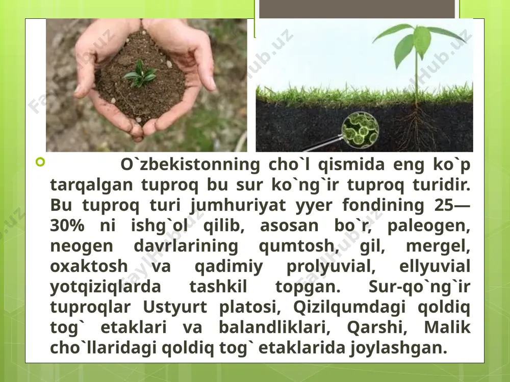 o’zbekiston tuproqlariga umumgeografik tavsif - Page 5