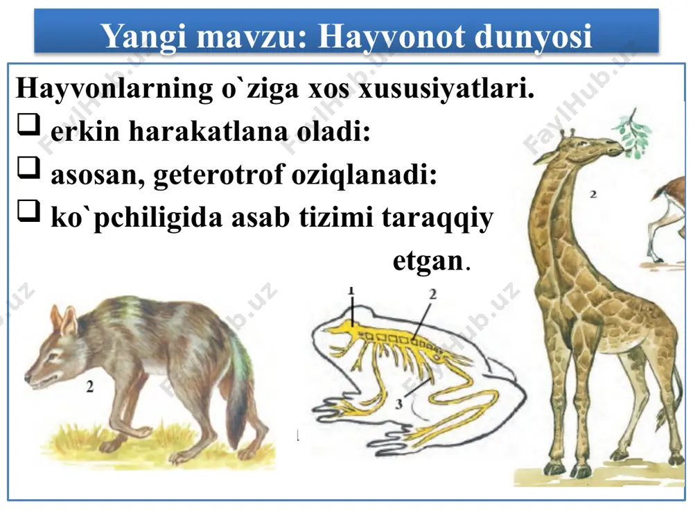 o`tilgan mavzuni mustahkamlash - Page 4