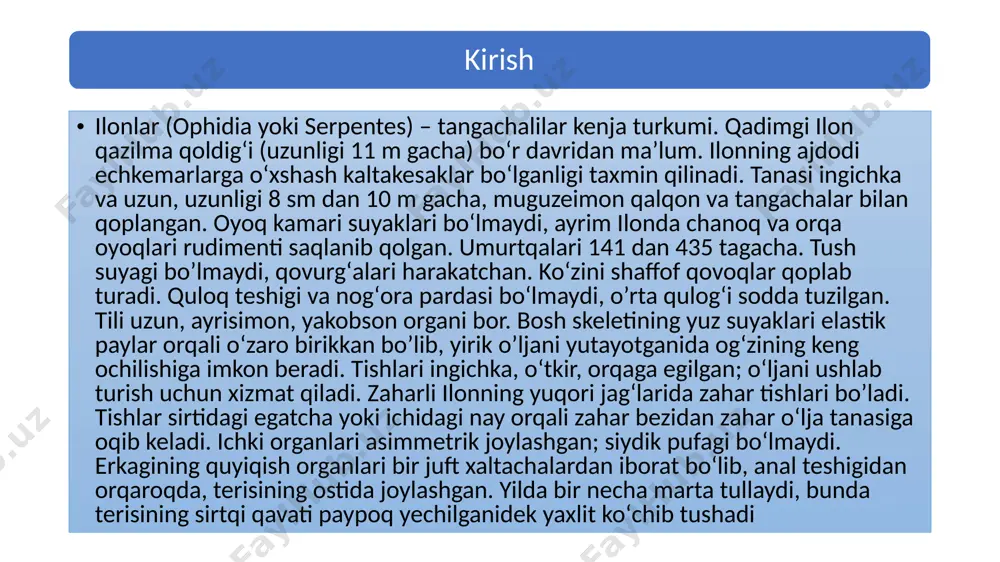 yirikroq bo‘ladi. tuxum qo‘yib yoki tirik tug‘ib ko‘payadi. ayrim turlari uchun bir marta urug‘lanish 3—5 yilgacha urug‘langan tuxum qo‘yish uchun etarli bo‘ladi. bir yilda bir marta tuxum qo‘yadi. bir galgi tuxum qo‘yishda mayda turlari bittadan 3—4 tagacha, yiriklari bir necha o‘nlab tuxum qo‘yadi. inkubatsiya davri bir oydan 2,5 oygacha davom etadi charx ilon (efa peschannaya uncha katta bo‘lmaydi. tanasining uzunligi 86 sm, dumi qisqa7,5 sm gacha boradi. usti qo‘ng‘ir-kul rang yoki qum rang bo‘ladi. qiyshiq joylashgan yon tangachalari orqadagilariga qaraganda to‘qroq bo‘ladi. orqasida ko‘ndalang yoki oq, ko‘ndalangiga cho‘ziq dog‘lari bor. ular qirralari orasida ilonizi yo‘l hosil qilib joylashgan. och rangli dog‘lardagi ba’zi tangachalarning cheti qoramtir qo‘ng‘ir yoki qora bo‘ladi. boshining ustida butsimon naqshi bor. bu ilon joyida turgan holda charx urib aylanadi va bu vaqtda yon tangachalari bir-biriga ishqalanib charx toshi kabi o‘ziga xos tovush chiqaradi. shuning uchun ham unga charx ilon degan nom berilgan. o’zbekiston hududida tarqalgan zaharli ilonlar …