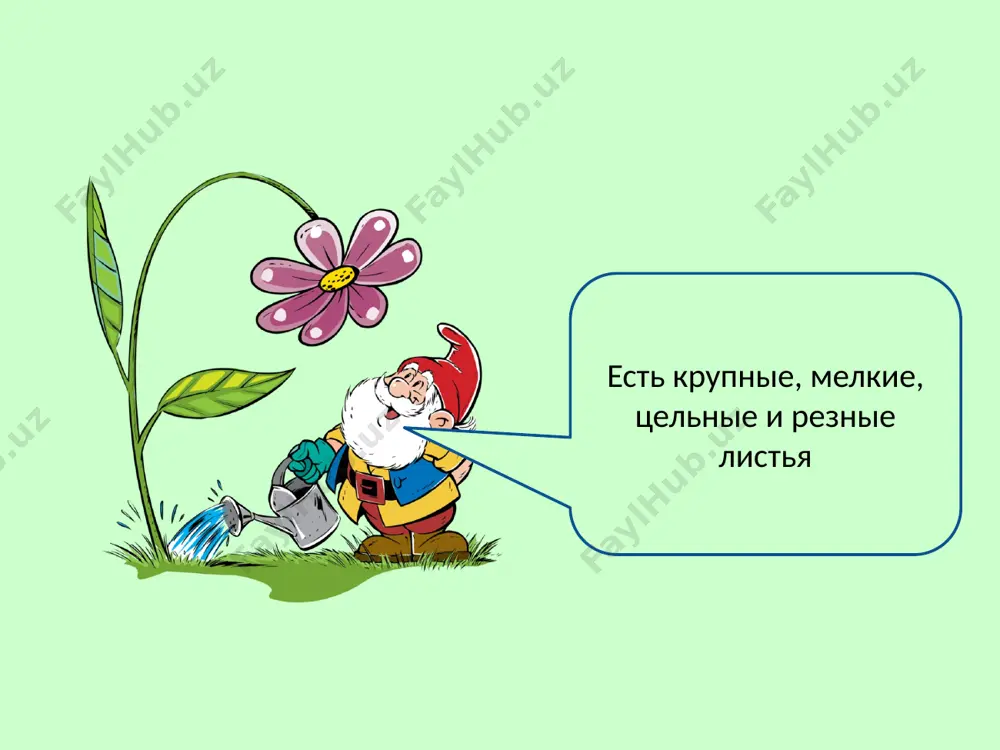 vneshnee stroenie lista - Page 4