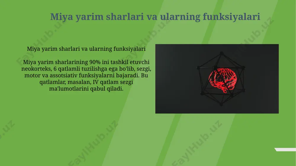 hda ishtirok etadi, shuningdek, xatti-harakatlarni takomillashtirishda yordam beradi. ular dopamin kabi 1 nechta neyrotransmitterlar orqali 2 ta asosiy yo'l bilan ta'sirlashadi. bazal gangliyalar tarkibiga 5 ta asosiy tuzilma kiradi: kaudat yadrosi, po'stloq, oq shar, subtalamik yadro va qora substansiya. bu tuzilmalar motor funksiyalarini boshqarishda 1 nechta muhim rollarni bajaradi. e'tiboringiz uchun rahmat @taqdimot_robot image1.jpg image2.jpg image3.jpg image4.jpg image5.jpg image6.jpg image7.jpg image8.jpg image9.jpg image10.jpg image11.jpg image12.jpg image13.jpg image14.jpg image15.jpg image16.jpg image17.jpg