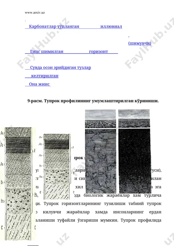 н жинсларда пайдо бўлиб, унинг остида эса бошка хоссаларга эга жинслар мавжуд бўлганда ажратилади. ќар бир тупрок типи учун ўзига хос горизонтлар характерли бўлиб, баъзан бу горизонтлар айрим тупроклар профилида бўлмаслиги мумкин. 2. тупрок ва унинг айрим горизонтлари калинлиги. тупрокнинг умумий калинлиги деб, унинг юзасидан бошлаб она жинсигача бўлган горизонтлар (см да ифодаланган) йигиндисига айтилади. демак, тупрок калинлиги унинг а0+а1+а2+в1+в2 каби горизонт ва горизонтчаларининг с (она жинси) гача барча йигиндисидир. турли тупрокларнинг калинлиги хар хил бўлиб, 40-50 см дан 100-150 см гачадир. аммо ўрта осиёнинг кадимдан сугорилиб келинаётган маданий (агроирригацион катламли) воха тупрокларининг калинлиги 250-300 см ва ундан хам ошади. тупрокларнинг умумий калинлигидан ташкари уларнинг алохида генетик горизонтлари калинлигини аниклаш хам агрономик нуктаи назардан мухим ахамиятга эга. тупрок унумдорлигини белгилашда, ерга ишлов бериш, мелиоратив тадбирларни олиб боришда хамда тупрок пайдо бўлиш жараёнларининг боришини ўрганишда бу кўрсаткич эътиборга олинади. айрим горизонтлар калинлигини белгилашда тупрок юзасидан бошлаб, унинг юкори ва куйи чегарасини …