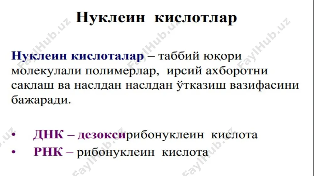 нуклеин кислоталар биокимёси - Page 2