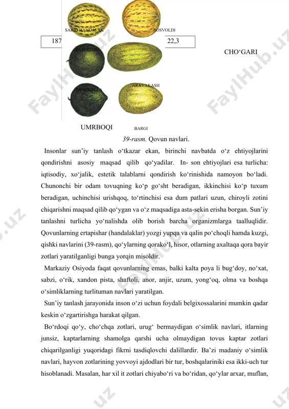 aniqladi. tulkilarning bir guruhi odamga tashlanuvchan, o‘ta tajovuzkor, ikkinchi guruhi odamga tashlanishga qo‘rqib turadigan, lekin pochta kaptaribuqoq kaptar yakobin kaptar ko‘k qora yovvoyi kaptar tovus kaptar 40-rasm. kaptar zotlari va ularning yovvoyi ajdodi. unga tashlanishni xohlaydigan, uchinchi guruhi esa xotirjam izlanuvchi instinktli tulkilar ekanligi ma’lum bo‘ldi. k.d. be- lyayev uchinchi guruhga mansub erkak va urg‘ochi tulkilarni ajratib, alohida urchita boshladi. nasllar orasidan olim yana odamga tez ko‘nikuvchi tulkilarni tanlab bordi. bunday tulkilar- ning bir necha avlodida sun’iy tanlash o‘tkazish natijasida xuddi xonaki itlarga o‘xshash, ya’ni odamga tez o‘rganadigan, erkalaganda xursand bo‘ladigan tulkilar chiqarildi. xatti-harakatiga qarab o‘tkazilgan sun’iy tanlash natijasida tulkilarning morfologik va fiziologik belgilari ham o‘zgardi. tajribada tashqi bankiv yovvoyi tovug‘i rus oq tovug‘i pervomay zoti liven zoti rod aylend urishqoq zoti 41-rasm. tovuq zotlari va ularning yovvoyi ajdodi. quloq suprasi osilgan, dumini esa gajak holda egib turadigan tulkilar olindi. yovvoyi tulkilar odatda yilda bir marta aprelda urchisa, xonakilashtirilganlar esa …