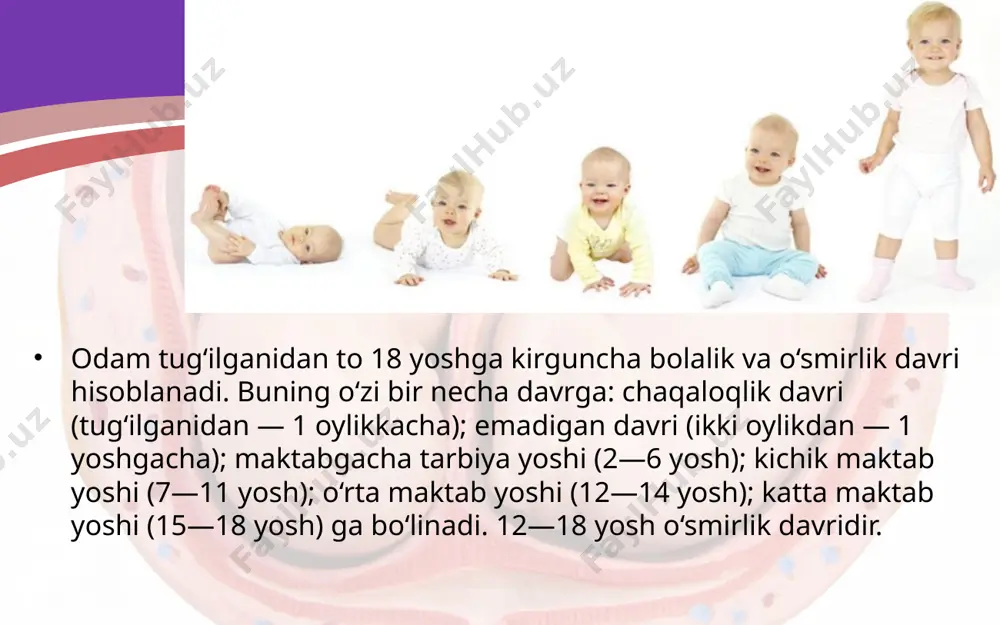 7 oylikda bemalol o‘tiradi, emaklaydi, 8 oylikda buyumlarni ushlab o‘rnidan tura boshlaydi; 11 oylikda oddiy so‘zlarni ayta boshlaydi va qo‘lidan yetaklasa yuradi; 12 oylikda o‘zi yura boshlaydi va 10—12 ta so‘zni ayta oladi. bolaning suyak sistemasi normal rivojlanganligi uning sut tishlari chiqishi bilan ham belgilanadi. sut tishlari 6—7 oylikda chiqa boshlaydi va 1 yoshga to‘lganida 8 ta sut tishi bo‘lishi kerak. bola boshining ensa va tepa suyaklari o‘rtasida kichik liqildoq (bo‘sh joy), peshana va tepa suyaklari o‘rtasida katta liqildoq bo‘ladi. bolaning boshini avaylab ushlash, biron narsaga urilishidan ehtiyot qilish kerak. d vitamini yetishmasa, bola suyaklarining shakllanishi buziladi, liqildoqning bitishi va sut tishlarining chiqishi kechikadi. suyaklar yumshab egiluvchan bo‘lib qoladi. chaqaloqning umurtqa pog‘onasi tekis bo‘ladi, ya’ni unda fiziologik egriliklar bo‘lmaydi. u 8—10 haftalik bo‘lganda, boshini tikka tuta boshlaydi va umurtqa pog‘onasining bo‘yin qismida oldinga egilish hosil bo‘ladi. bola 5 oyligida o‘tira boshlaydi va uning umurtqa pog‘onasi ko‘krak qismida orqaga egilma hosil …