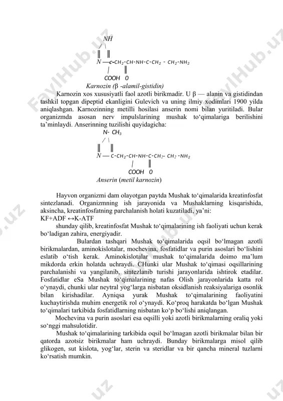 ozin kompleksining sintezlanish jarayonida ishtirok etadi. aktomiozin oqsili kcl ning 0,6 m eritmasida yaxshi eriydi. eritmadagi k yoki mg ionlarining konsentra- siyasi ma’lum darajaga etganda (0,05 m kslyoki 0,001 m mgcl2 eritmasida) atf ishtirokida oqsilda keskin kisqarish, torayish xususiyati namoyon bo‘ladi. bu vaqtda aktomiozindan suv chiqib ketib, mayda hajmli, kam gidratlanadigan oqsil parchasiga aylanadi. aktomiozin oqsilining bunday xususiyatlarga ega ekanligini sent- derdi degan olim aniqlagan. mushak to‘qimalarining tarkibida ularning ish floliyatlarini kuchaytiruvchi, faol energiya manbai sifatida xizmat qiladigan oqsil bo‘lmagan azotli moddalar mavjud. bunday moddalarga atf, adf va adenil kislotalaridan tashqari, kreatin, fosfokreatin, karnozin, anserin va karnetin kabilarni ko‘rsatish mumkin. bularning ayrimlarining tuzilishi haqida quyidagicha fikr yuritish mumkin. nh2 -c —n—ch2—cooh ii i nh ch3 kreatin kreatin mushak to‘qimalarida ko‘pincha erkin holatda bo‘lmay, asosan fosfat kislota bilan fosfokreatin (kreatinfosfat) birikmasi holatida bo‘ladi. kreatin kislotali muhigda qizdirilganda o‘zidan bir molekula suv chiqarishi natijasida kreatininga aylanadi. hayvon organizmida o‘tadigan bu jarayon qaytmas …
