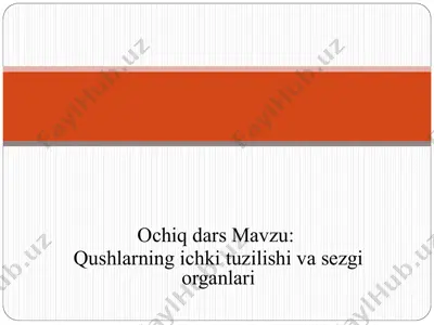 ochiq dars — PPT