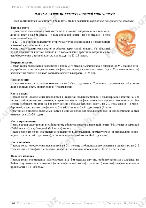 . 3.4.4. rentgenoanatomiya poyasa nijney konechnosti. razdel 3 . osteologiya. dobavochniy skelet ______________________________________________________________________________________________________________________________________________________________________________ 196 | s t r a n i ts a © «osteologiya» – pivchenko p. g. , xolamov a. i. , 2013 g. ris. 3.4.5. rentgenoanatomiya kolennogo sustava. ris. 3.4.6. rentgenoanatomiya stopi (vid sboku). razdel 3 . osteologiya. dobavochniy skelet ______________________________________________________________________________________________________________________________________________________________________________ © «osteologiya» – pivchenko p. g. , xolamov a. i. , 2013 g. 197 | s t r a n i ts a ris. 3.4.7. rentgenoanatomiya stopi (vid sverxu). razdel 3 . osteologiya. dobavochniy skelet ______________________________________________________________________________________________________________________________________________________________________________ 198 | s t r a n i ts a © «osteologiya» – pivchenko p. g. , xolamov a. i. , 2013 g. glava 5. skelet poyasa nijney konechnosti. _______________________________________________________________________________________________ tazovaya kost, os coxae, do 16 let obrazovana tremya otdelnimi kostyami, so- edinennimi sinxondrozom. k 16 godam podvzdoshnaya, lobkovaya i sedalishnaya kosti srastayutsya telami v edinuyu kost  tazovuyu (ris. …