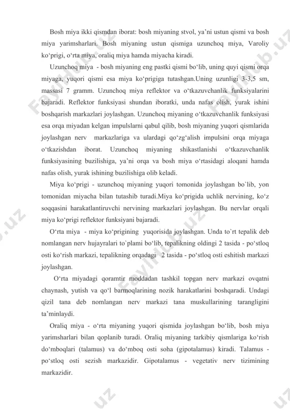 liq miyaning tarkibiy qismlariga ko‘rish do‘mboqlari (talamus) va do‘mboq osti soha (gipotalamus) kiradi. talamus - po‘stloq osti sezish markazidir. gipotalamus - vegetativ nerv tizimining markazidir. miyacha - bosh miya yarimsharlari ensa bo‘lagining ostida joylashgan. massasi 150 gramm. uning ikkita yarim sharlari va ular o‘rtasida chuvalchangsimon qismi bor. miyachaning tashqi qavati kulrang rangdagi nerv hujayralari modda bilan qoplangan bo‘lib, u kichik egat va pushtalarga bo‘lingan. miyacha odam tanasidagi barcha muskullarning tarangligini va harakatlarining tartibli bajarilishini va muvozanatda bo‘lishini ta’minlaydi. agar miyacha shikastlansa yoki kasallansa tana muskullari bo‘shashadi va odam tik turish, yurish, sakrash, yugurish kabi harakatlarni bajarishi qiyinlashib, mast odamga o‘xshab gandiraklab harakat qiladi. bosh miya - o‘ng va chap katta yarimsharlardan iborat bo‘lib, ular qadoqsimon tana yordamida bir-biri bilan tutashib turadi. bosh miya yarimsharlari ikki qavatdan iborat: - bosh miya yarimsharlari po‘stloq qavatining qalinligi 25-30 mm bo‘lib, pushta va egatchalardan iborat. uning sathi 1468-1670 smі ni tashkil etib, unda 14-16 …