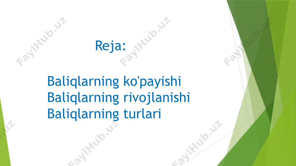pistirmada yashirinib, poylab ushlasa, boshqalari (sla, oqqayroq - jyerex) o’ljasining orqasidan quvadi, yana birlari o’ljasini suv tagidan topadi, ba’zilari esa suv yuziga tushgan hasharotlarni ushlaydi. baliqlar yilning issiq davrlarida qish fasliga nisbatan intensiv ravishda oziqlanadi. bizning mamlakatimizda yashaydigan ko’pchilik baliqlar qish faslida umuman oziqlanmaydi va karaxt holga o’tadi. kopayishi. kopayish organlari toq boladi. pichib etilgan jinsiy hujayralar gavda boshligiga tushadi va siydik tanosil teshigi orqali tashqariga chiqariladi, uruglanish suvda o`tadi. kopayish organlari. togayli baliqlar kopulyativ organi yordamida ichki uruglanishi va sariqlik moddasiga boy bolgan yirik, lekin kam tuxum qoyishi yoki tirik tugishi bilan boshqa baliqlardan farq qiladi. shu munosabat bilan birlamchi chiqarish yollari — myuller va volf naylari kuchli taraqqiy etgan. juft tuxumdonda pishib yetilgan tuxum hujayra gavda boshligiga tushadi. u yerdan tuxum yoli — myuller nayiga otadi. tuxum yolining keyingi qismi kengayadi, bunga bachadon deyiladi. bu kloakaga ochiladi. erkaklarida juft urug'donda pishib yetilgan urug hujayralari urug yoliga — volf …