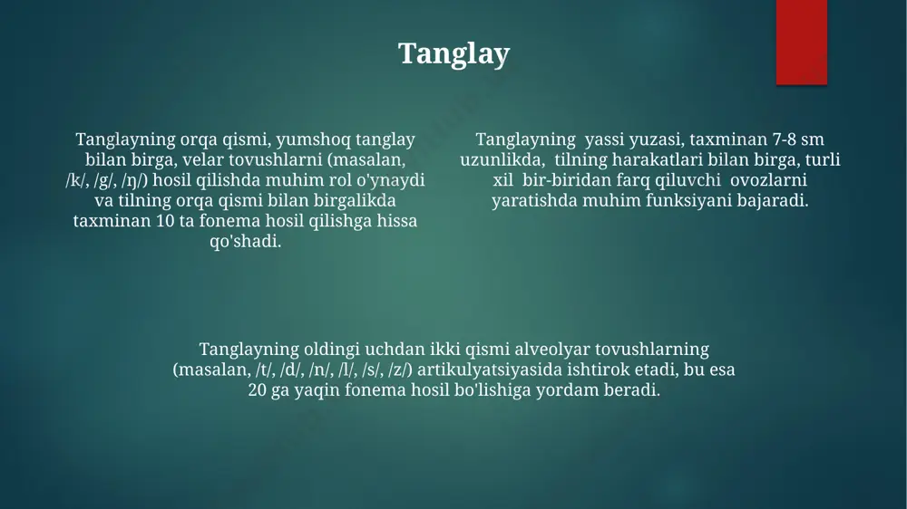 . yutak nafas olish va ovqat hazm qilish tizimlarining kesishgan nuqtasi bo'lib, 2 ta asosiy funksiyani: nafas olish va yutish jarayonlarini ta'minlaydi. yutakning devorlari uchta qatlamdan: shilliq qavat, mushak qavati va fibroz qavatdan tashkil topgan bo'lib, ularning har biri o'ziga xos funksiyalarni bajaradi. til tilning 28 ta suyakdan iborat bo‘lgan murakkab tuzilishi, 17 ta mushakning harakatlanishi bilan nafaqat tovushlarni hosil qilish, balki yuz ifodalarini ham shakllantirishga yordam beradi. tilning oldingi uchdan ikki qismi (2/3) ta’m kurtakchalari bilan qoplangan bo‘lib, taxminan 2000-8000 ta ta’m retseptorlari mavjud. tilning orqa qismi (1/3) epiglottis bilan yaqin aloqada boʻlib, yutish jarayonida oziq-ovqatning nafas yo‘llariga tushishini oldini oladi va bu funksiya tilning 5-7 mm qalinligidagi mushaklar tuzilishi bilan ta’minlanadi. hilum hilum orqali o'pka tomirlari va bronxlari o'pkaga kiradi va chiqadi, bu jarayon nafas olish tizimining 1-bosqichi hisoblanadi va taxminan 3 sm diametrga ega. hilum, o'pkaning medial yuzasida joylashgan chuqurcha bo'lib, o'pka arteriyasi, o'pka venalari va bronxlar …