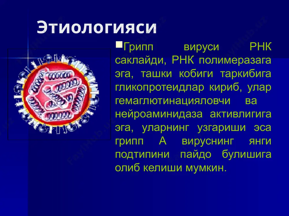 тлар ангина ва сурункали инфекциянинг активланиши ва (твс, ревматизм, сурункали тонзиллит, пиелонефрит) грипп диагностикаси грипп диагнози клиник-эпидемиологик маълумотларга асосланган холда куйилади. касалликнинг лаборатор тасдикланиши мз руз нинг №№ 198, 101 буйругига асосан утказилади. лаборатор текширув уз ичига олади: 1-умумий кон ва пешоб анализи 2- вирусологик 3- серологик (ифа, пцр, ртга, рск) 4- риноцитоскопик грипп. конъюнктивит, склерада кон томир инъекцияси грипп томокдаги узгаришлар грипп чап томонлама фолликуляр ангина 1грипп.томог шиллик каватдаги кон томирлар инъекцияси ва энантемаси 2.геморрагик пневмония 3. фибринозли – некротик ларинготрахео-бронхит 4. упканинг сегментар яллигланиши гриппнинг давоси базис терапия этиотроп терапия синдромал терапия базис терапия 1- тана харорати нормаллашгунча ёток тартиби. 2- витаминларга бой пархез, сут махсулотлари, усимлик ёгига тайёрланган овкатларни истеъмол килиш, куп суюклик ичиш 3- хароратни тушурувчи дори воситалар: парацетамол (панадол, колдрекс); ностероид яллигланишга карши препаратлар (немисил,бруфен ёшига караб), 16 ёшгача булган болаларга ацетилсалицил кислотаси (аспирин) рея синдроми ривожланиш хавфи булганлиги сабабли ман этилади. 4 – муколитиклар: …