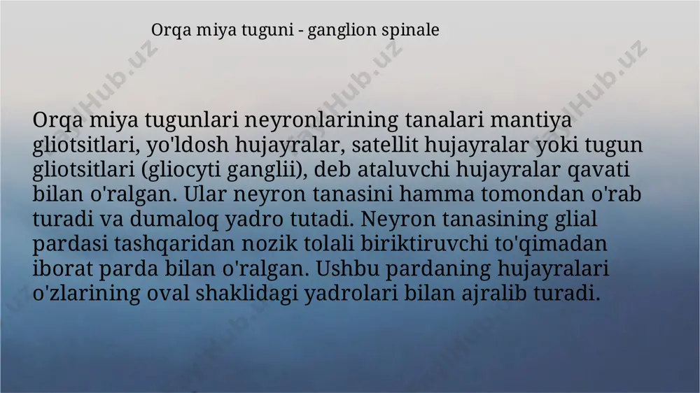nerv sistemasi orqa miya gistologiyasi - Page 4