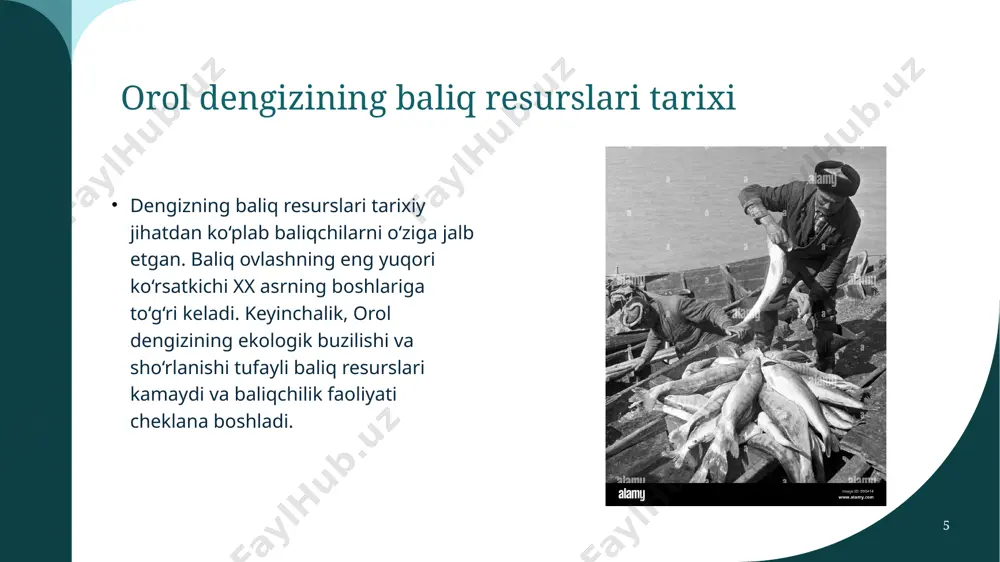 orol dengizining tijorat baliqlari va ular zahirasining holati - Page 5
